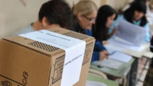 Milei presiona por las PASO y Chubut entra en una discusión que ya mira 2027