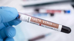 Un estudio confirmó la transmisión de hantavirus entre integrantes de una familia en Chubut